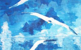 002 - möven - von ck